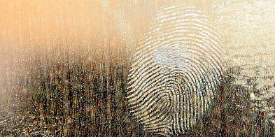 Miłośnicy kryminałów spotkają się w Łodzi-67508