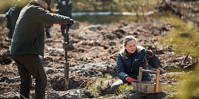 Posadzili sosenki, będzie las