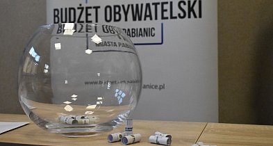 Budżet obywatelski Pabianic. Te projekty "rządzą"-67391