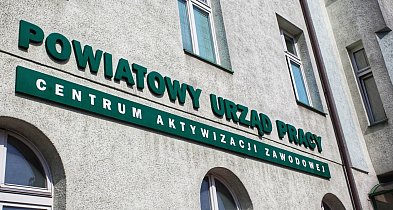 Oferta Powiatowego Urzędu Pracy w Pabianicach na 2026 rok-68427