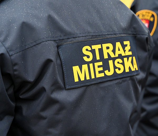 Zapuka strażnik, zapłacisz karę. Ruszyły kontrole w całej Polsce-66759