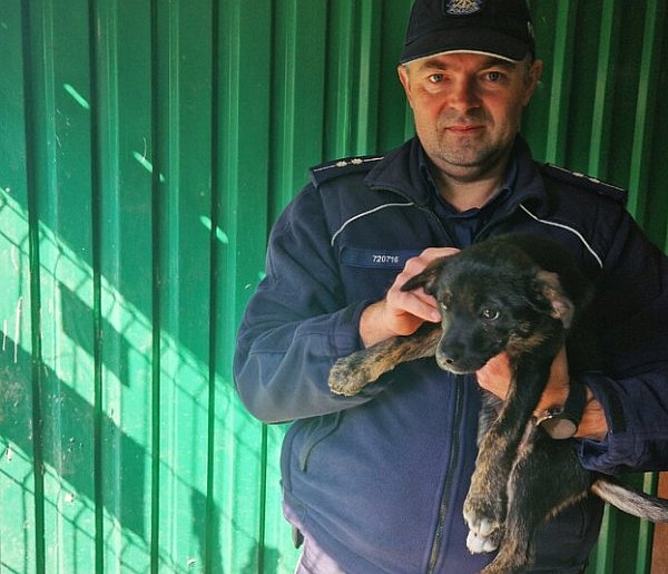 Przerzucił szczeniaka w worku przez płot