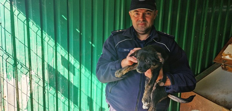 Przerzucił szczeniaka w worku przez płot