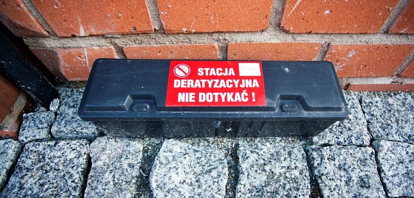 Będzie wojna 30-dniowa ze szczurami i myszami w mieście