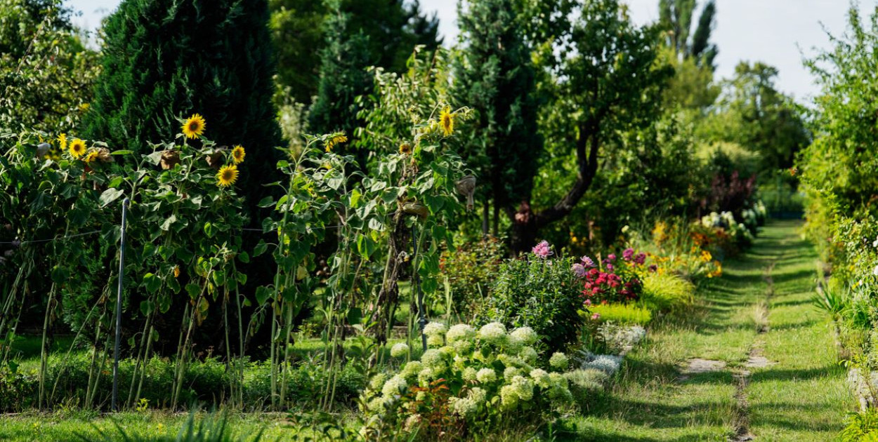Zmodernizują dwa ROD-y w Pabianicach