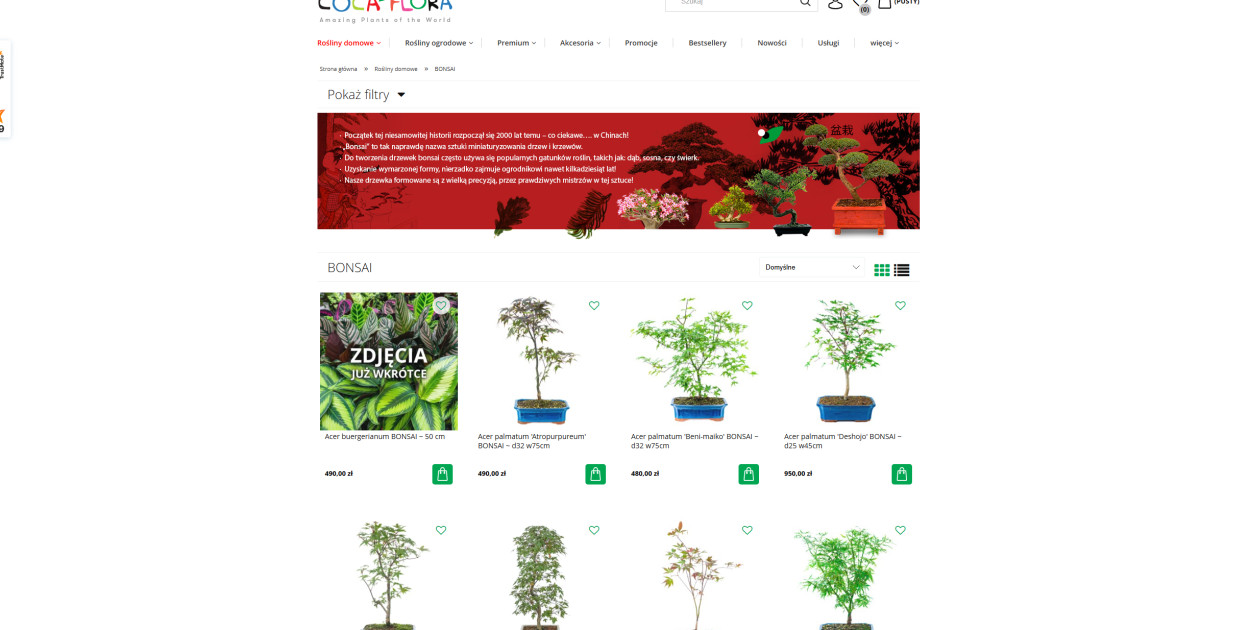 Bonsai jako prezent: symbolika i znaczenie miniaturowych drzewek w kulturze