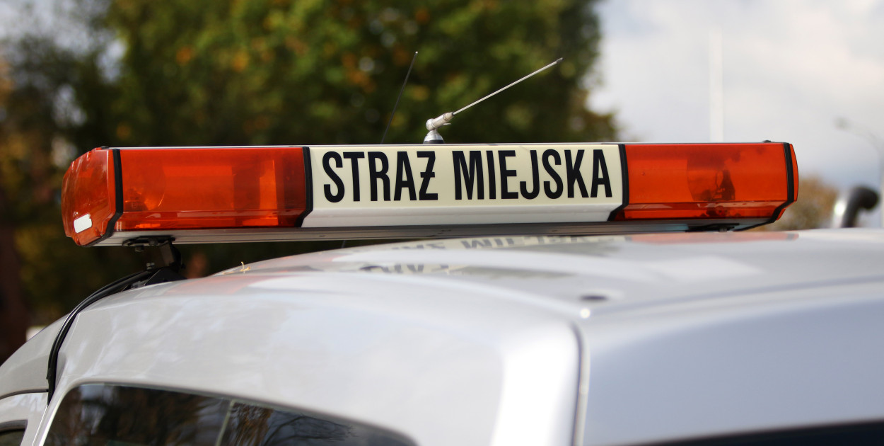 Wylał nieczystości do kanału burzowego/foto:archiwum