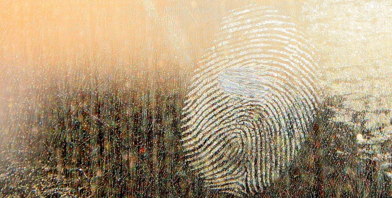 Festiwal Kryminału w Łodzi/byrev