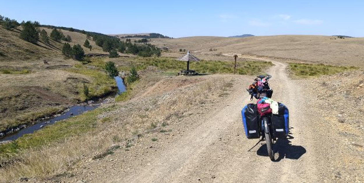 Foto: Kamil Lisiewicz 