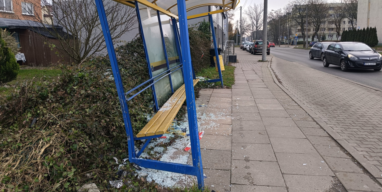 Zdjęcie zrobione rankiem 13 grudnia 