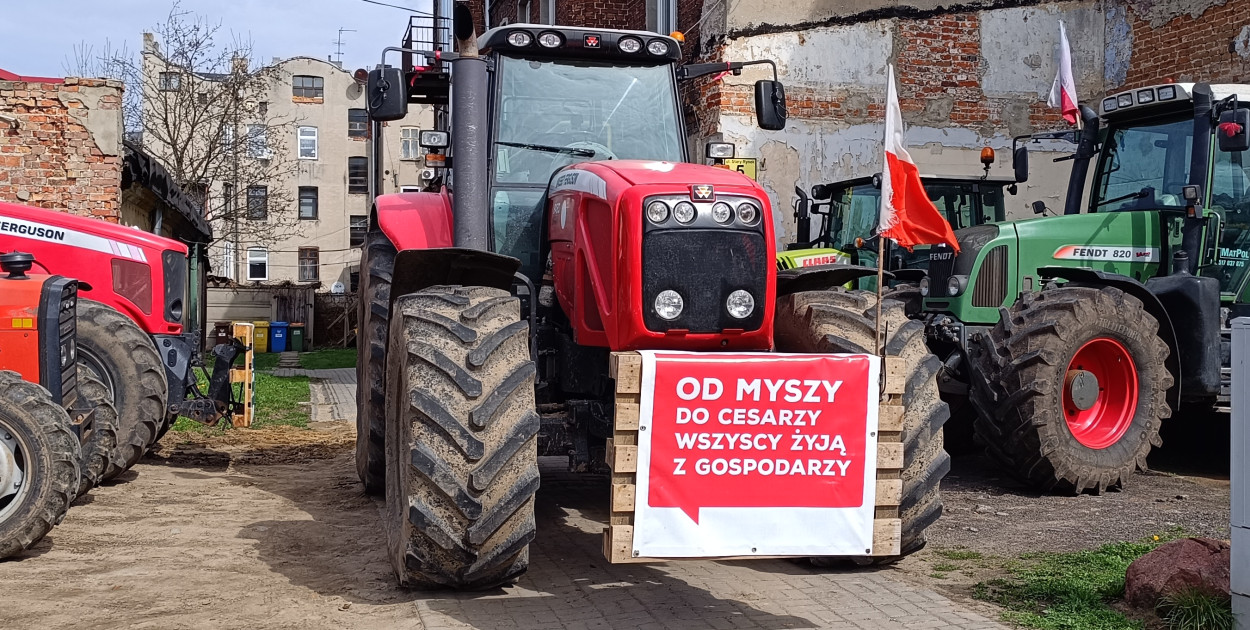 zdj. ilustracyjne/Życie Pabianic