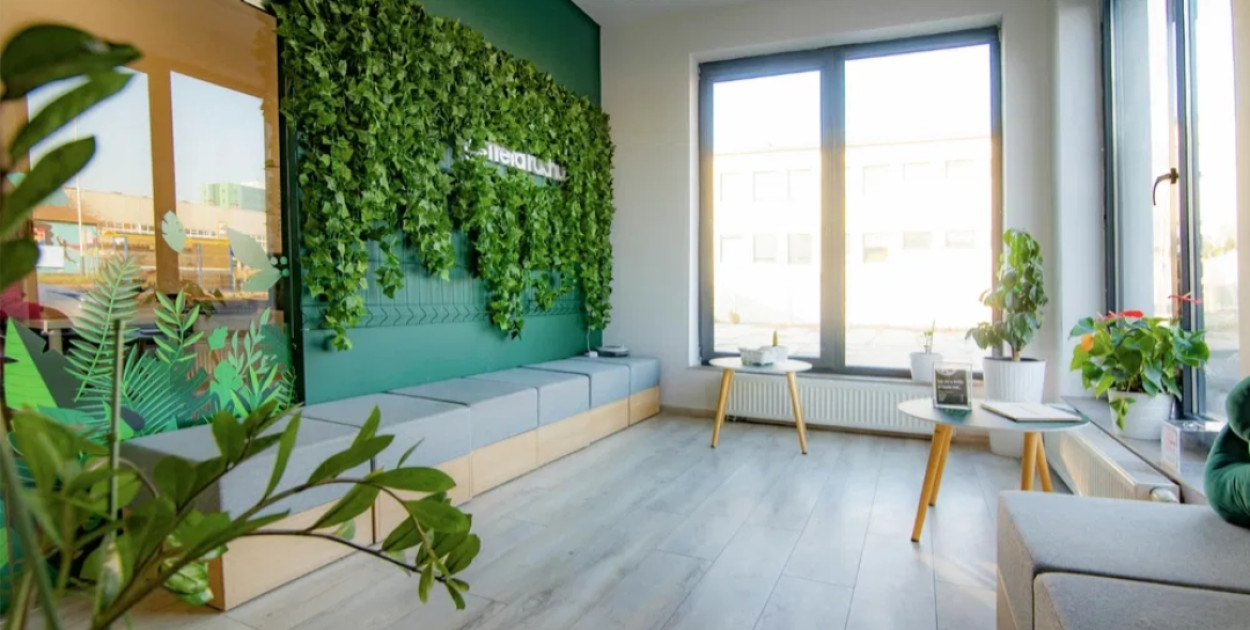 „Strefa Ruchu” wystawiona na sprzedaż