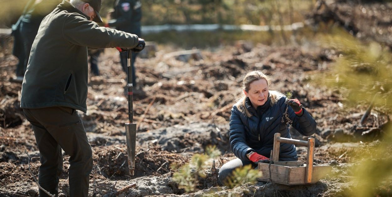 Posadzili sosenki, będzie las w Dłutowie